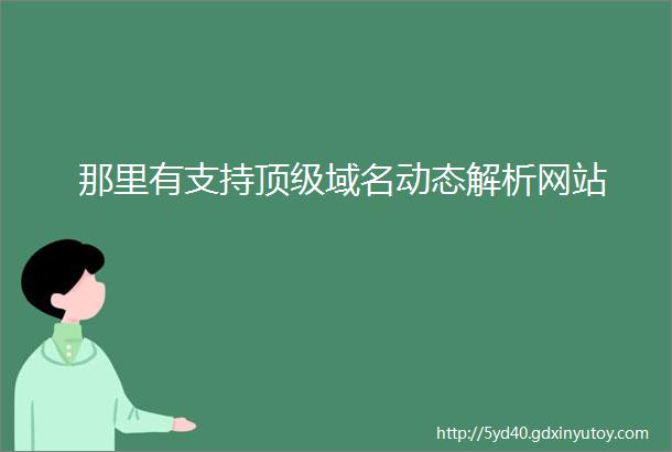 那里有支持顶级域名动态解析网站