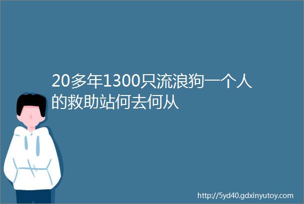 20多年1300只流浪狗一个人的救助站何去何从